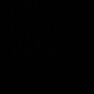 Meet your Posher, Ann marie